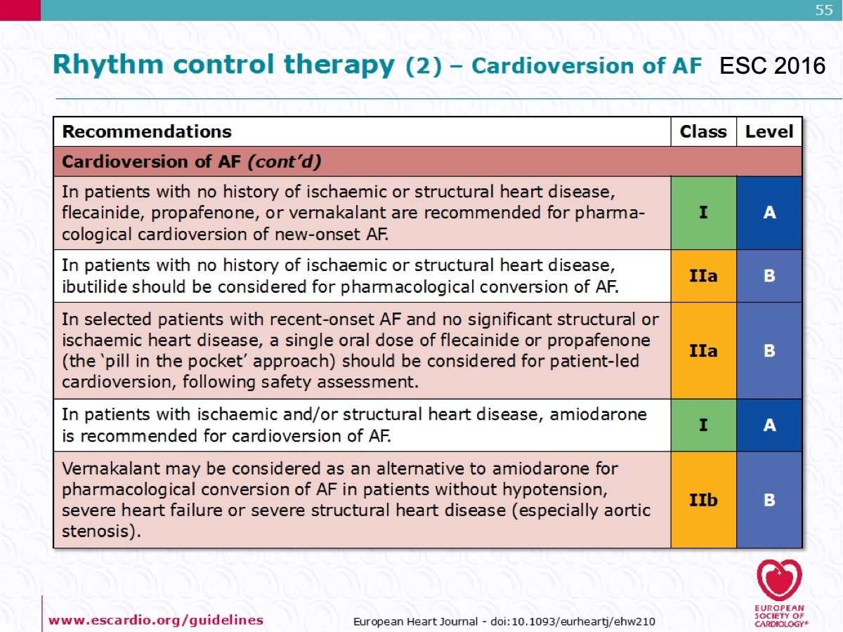 European heart journal